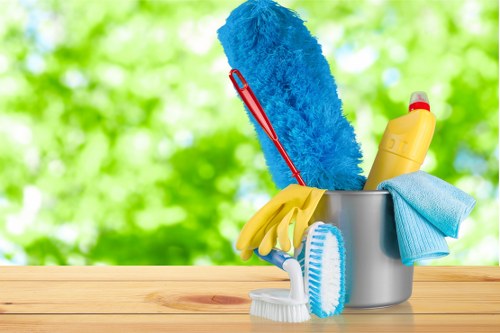 Cleaner in Marylebone for elegant London homes