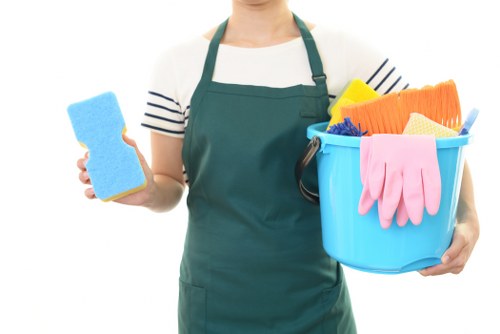 Professional oven cleaning service in a Marylebone kitchen