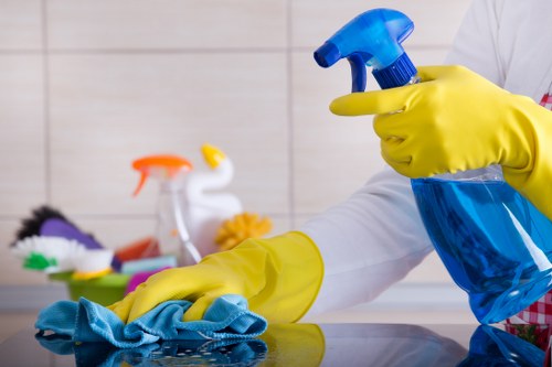 Specialist oven cleaner working in a Marylebone property
