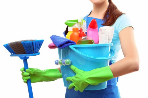 Detailed bathroom domestic cleaning in Marylebone