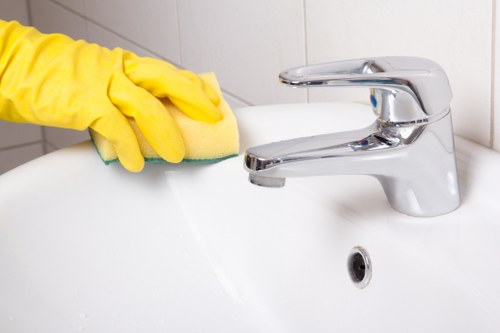 Professional Marylebone cleaning service improving household hygiene