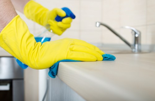 Marylebone cleaner helping maintain a spotless and elegant interior