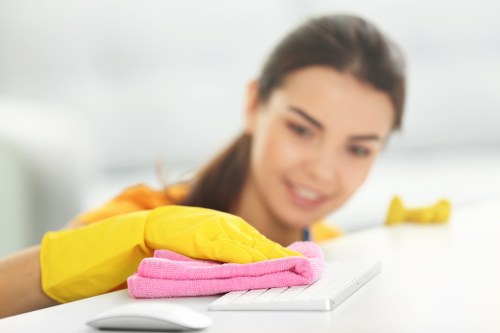 Marylebone cleaner supporting high-quality upkeep in a residential or commercial space