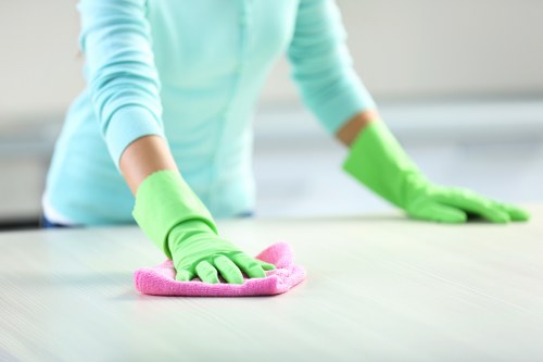 Example cleaning job in a Marylebone apartment or townhouse