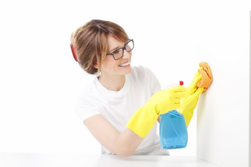 Residential window cleaning service in Marylebone with clear glass and bright interiors