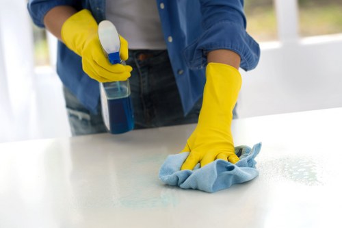 Kitchen appliance cleaning service in Marylebone